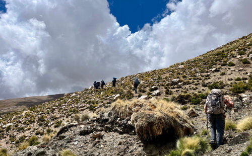 Nevado del Chañi